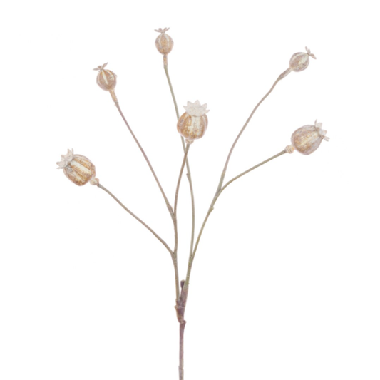 Poppy Seed Head Spray 60cm (Artificial)