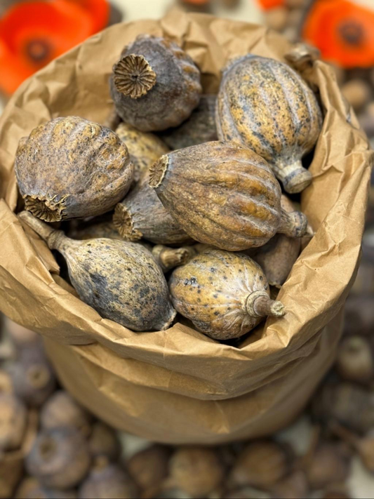 Giant Dried Poppy Heads 2Kg